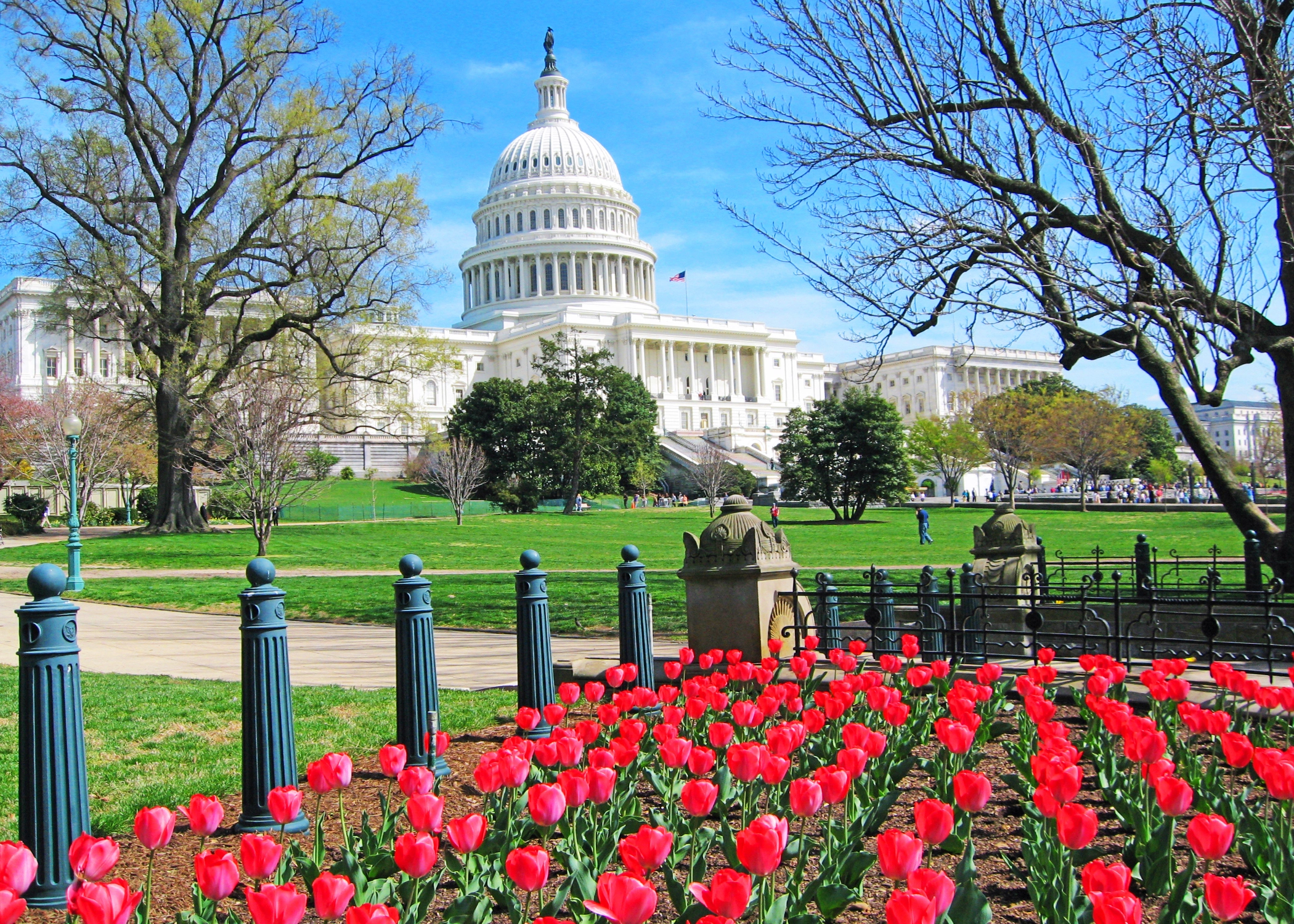Spotlight on Washington, D.C. Exploring America's Capital