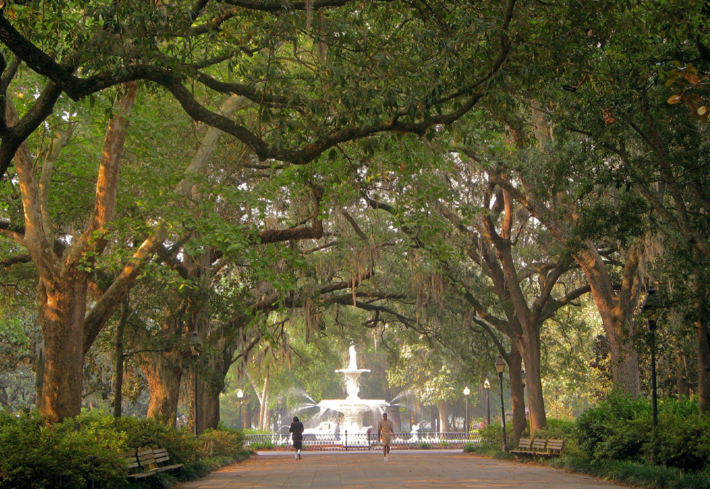 Southern Charm featuring Charleston, Savannah & Jekyll Island
