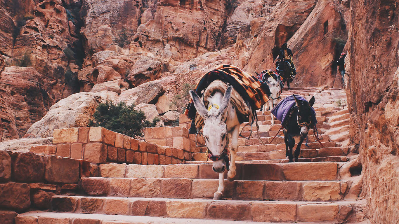 Journey Through Egypt and Jordan