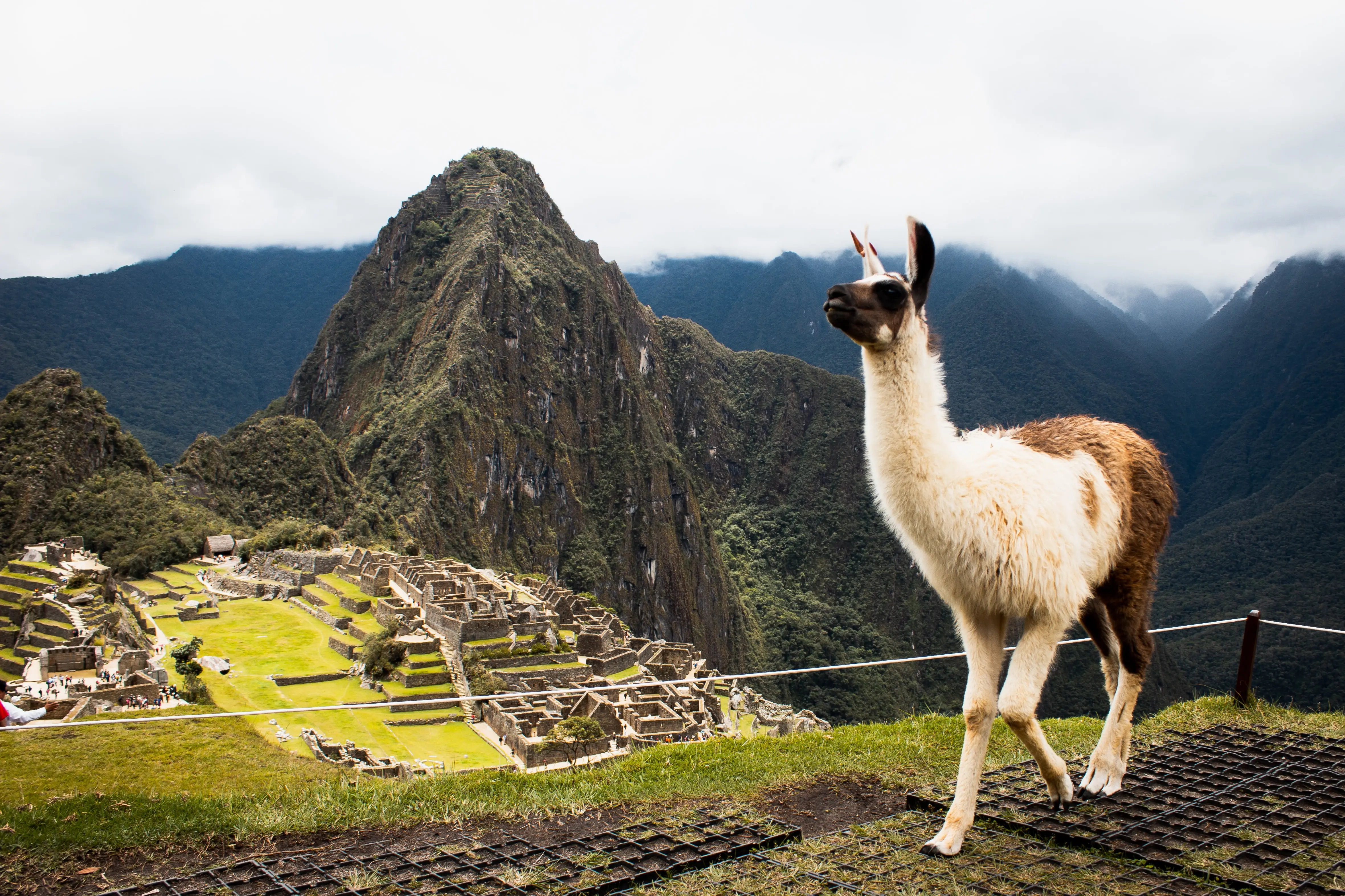 Peru: Machu Picchu and Lake Titicaca
