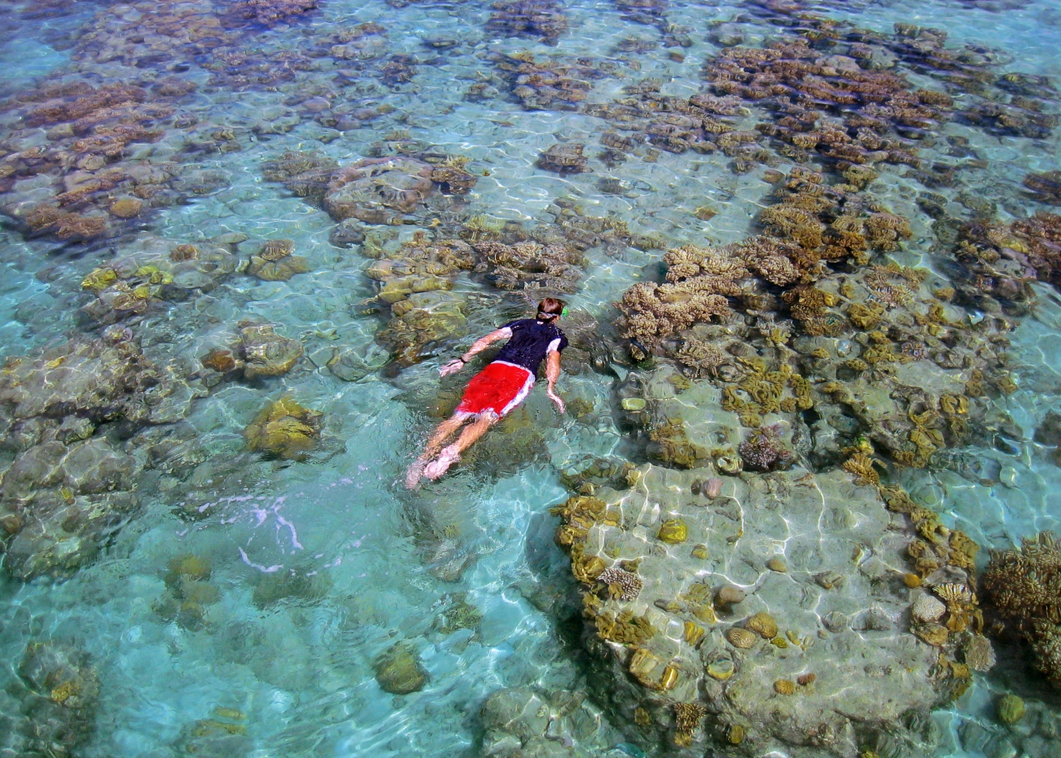South Pacific Wonders including New Zealand's North Island