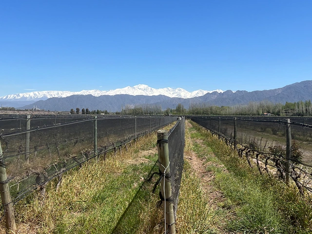 Essential South America featuring Chile, the Mendoza Wine Region & Buenos Aires