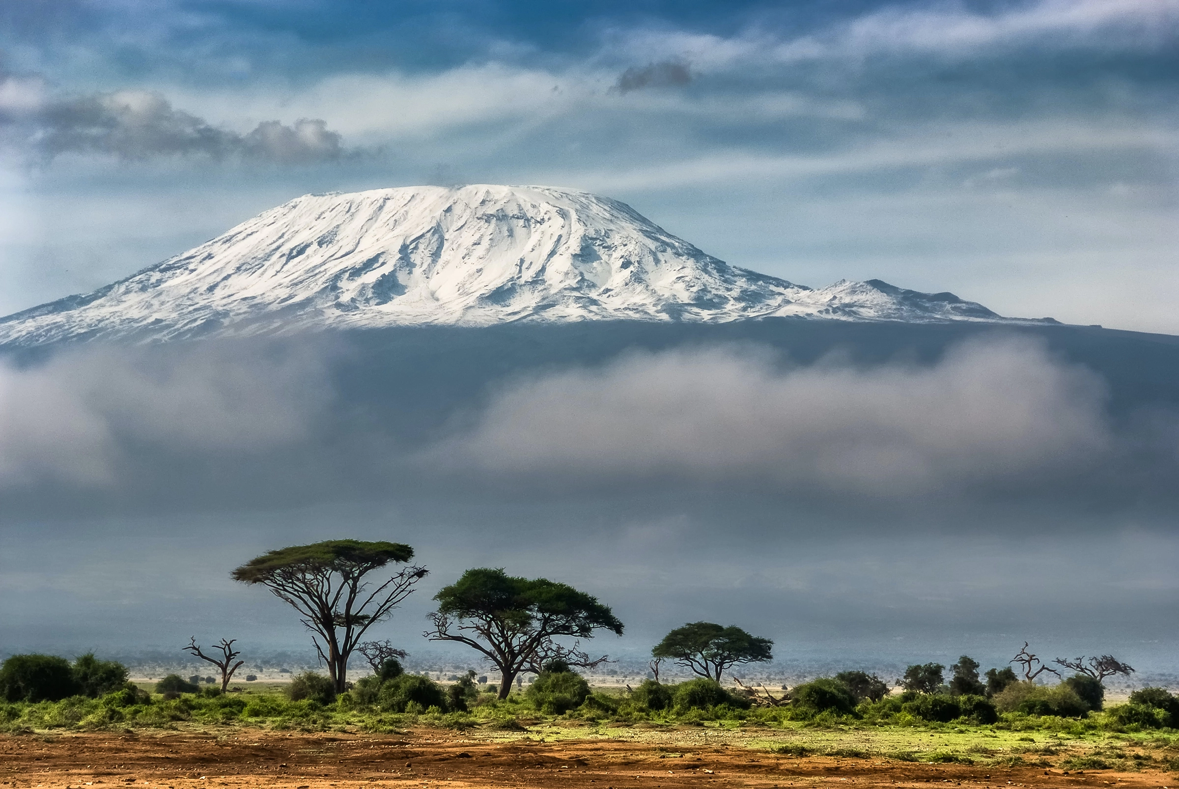 African Safari: Kenya and Tanzania