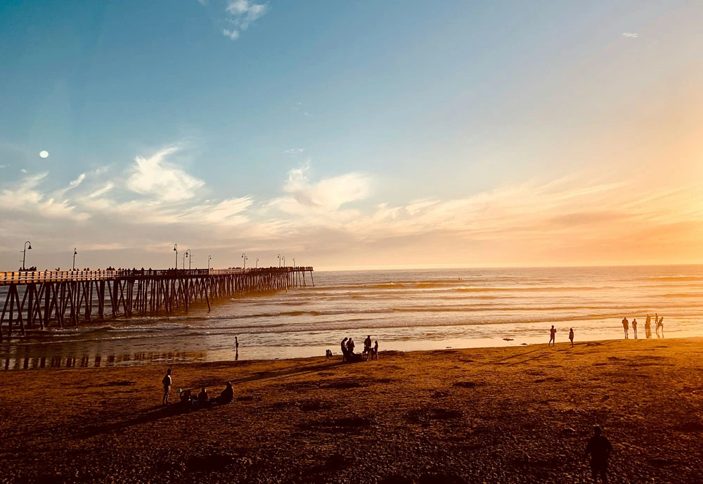 Sequoia & Kings Canyon National Parks featuring San Diego and California’s Central Coast