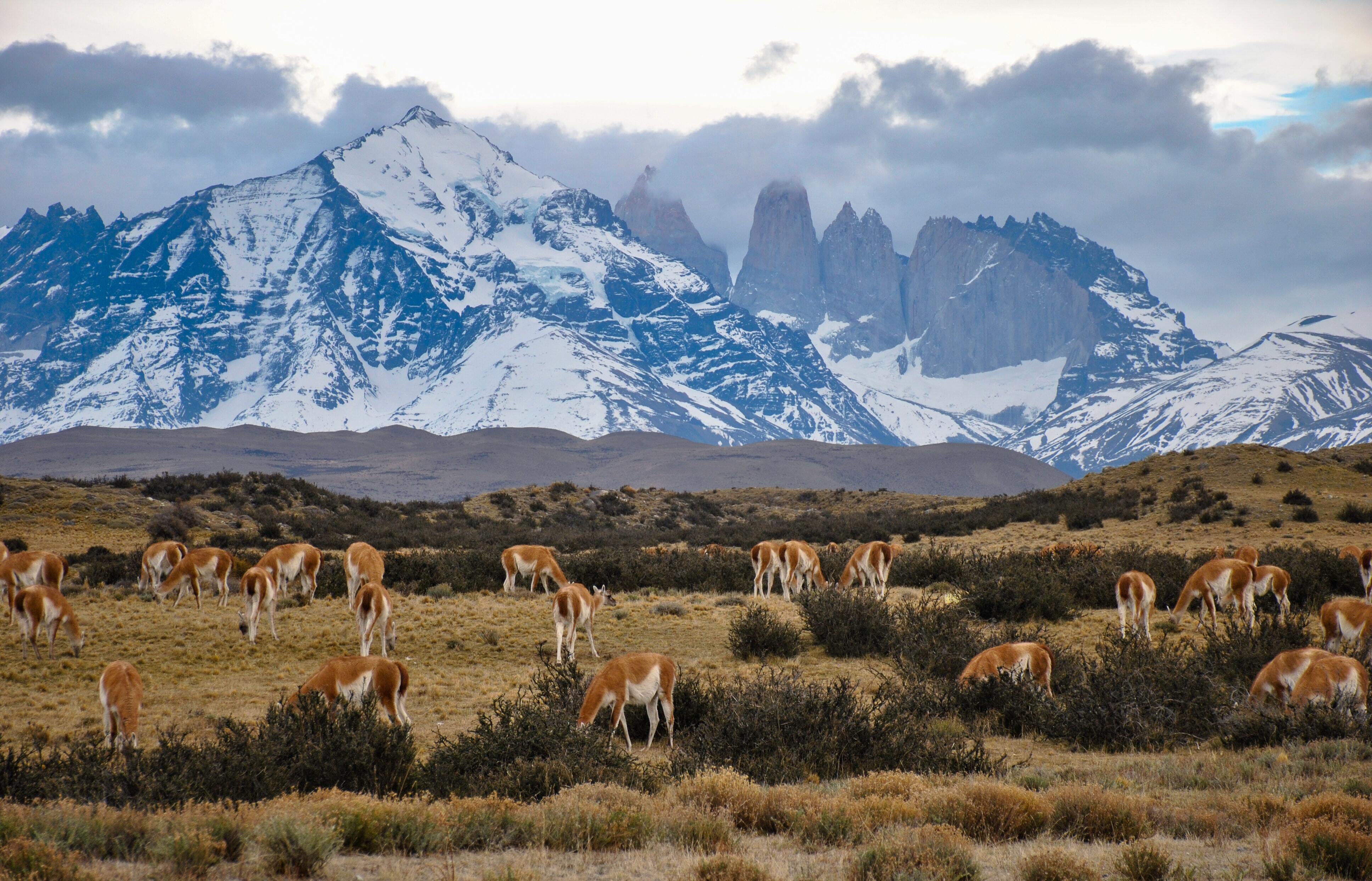 Patagonia: Edge of the World featuring Argentina, Chile, and a 4-Night Patagonia Cruise