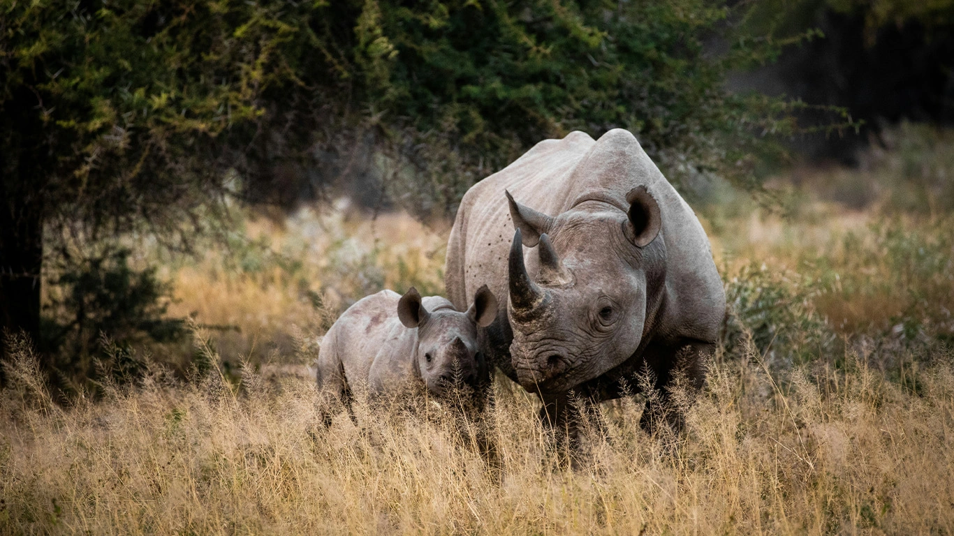 Namibia & South Africa: Epic Landscapes and Wildlife