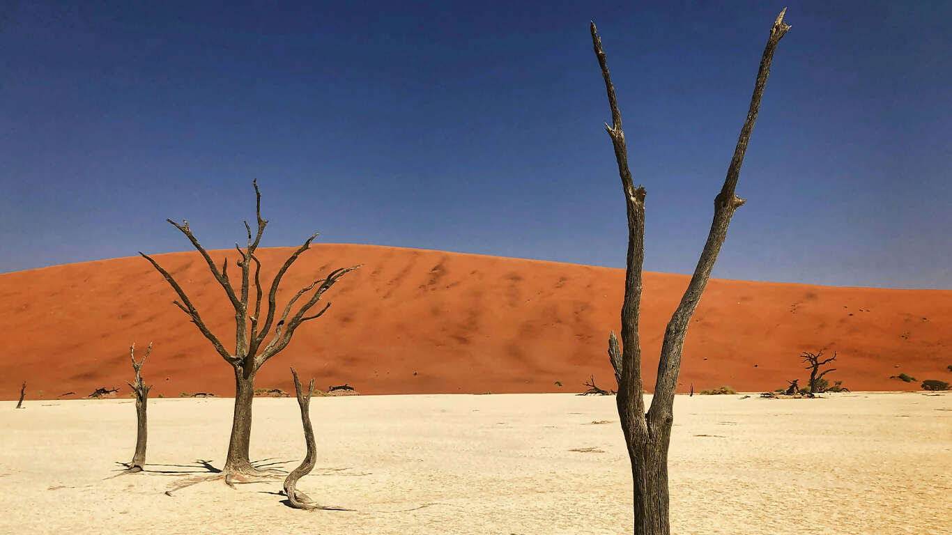 Namibia & South Africa: Epic Landscapes and Wildlife