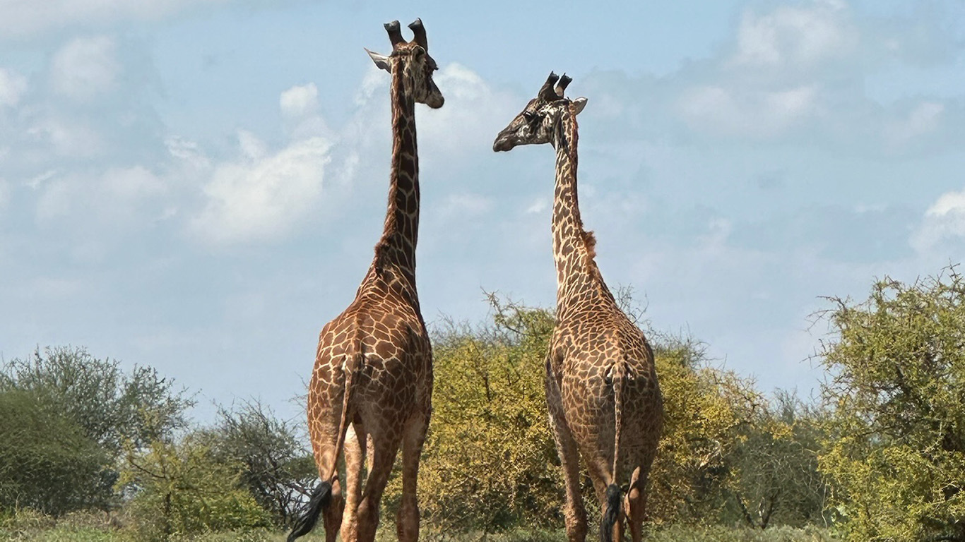 Cape Town to Cairo: The Ultimate African Expedition featuring Victoria Falls, Maasai Mara, and 4-Night Luxor to Aswan Cruise