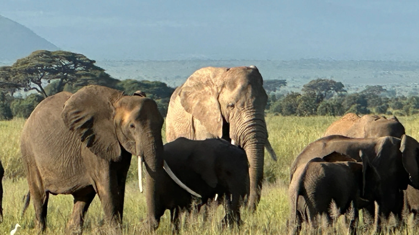 Cape Town to Cairo: The Ultimate African Expedition featuring Victoria Falls, Maasai Mara, and 4-Night Luxor to Aswan Cruise