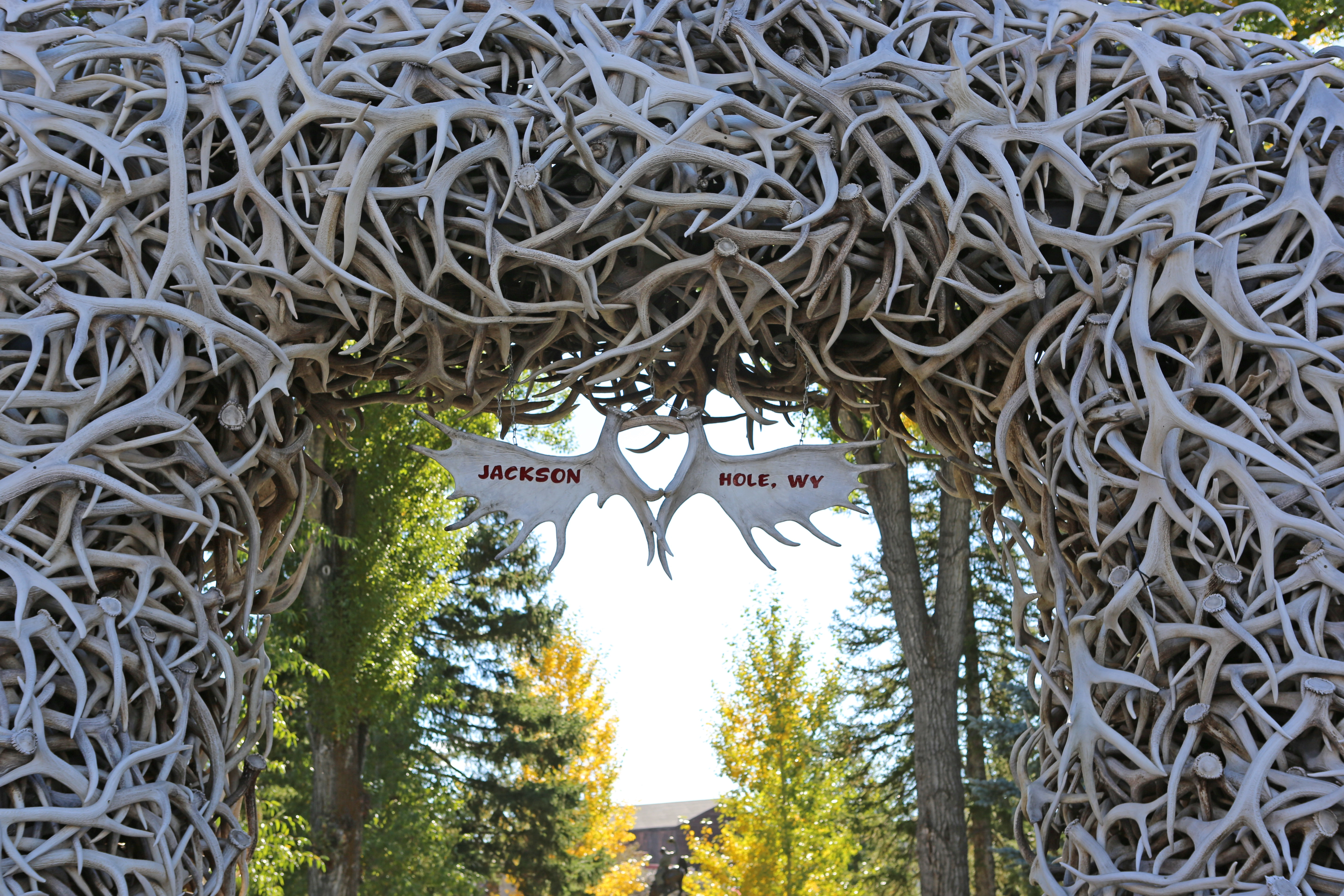 America's Cowboy Country