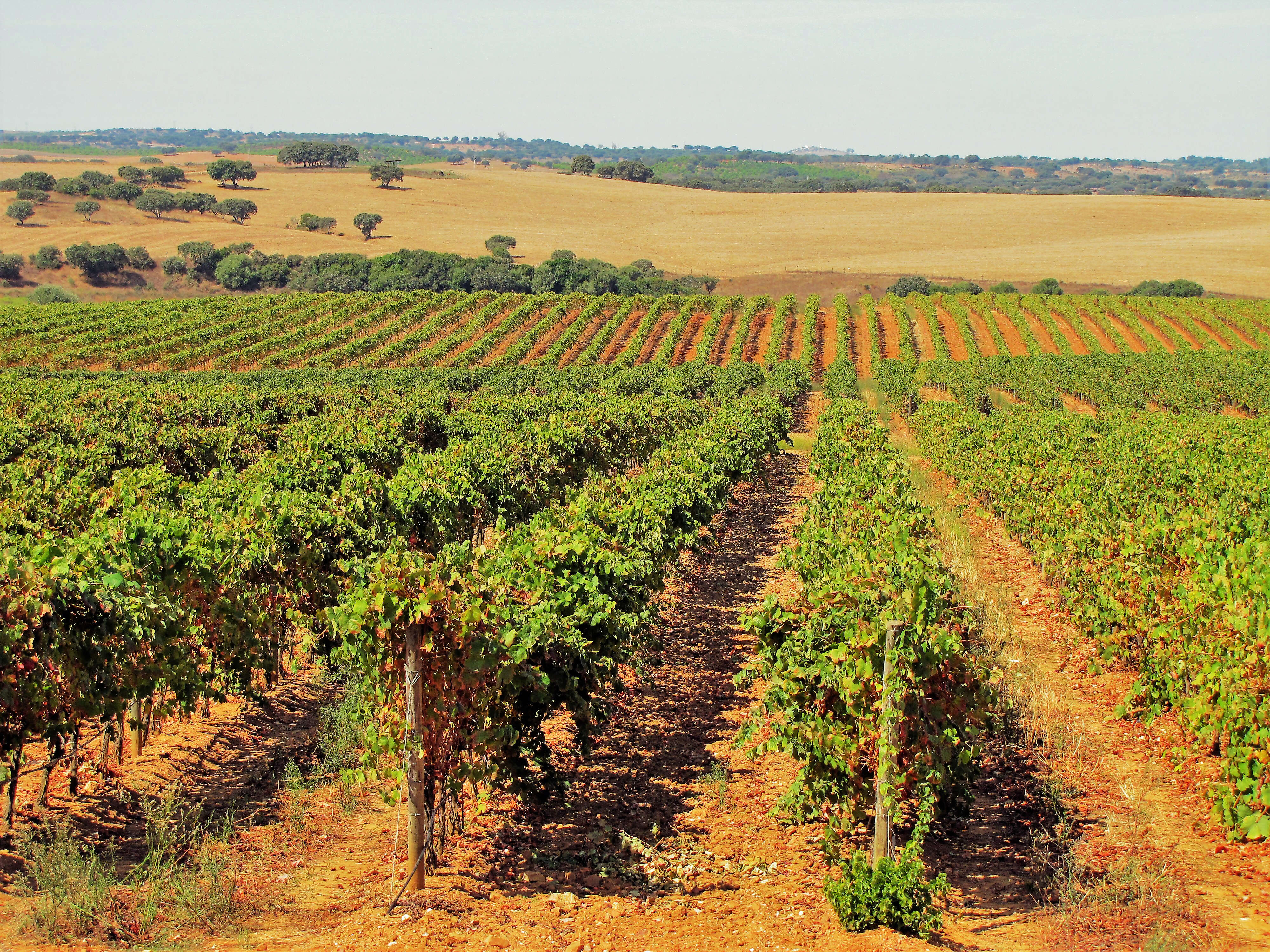 Sunny Portugal with Porto