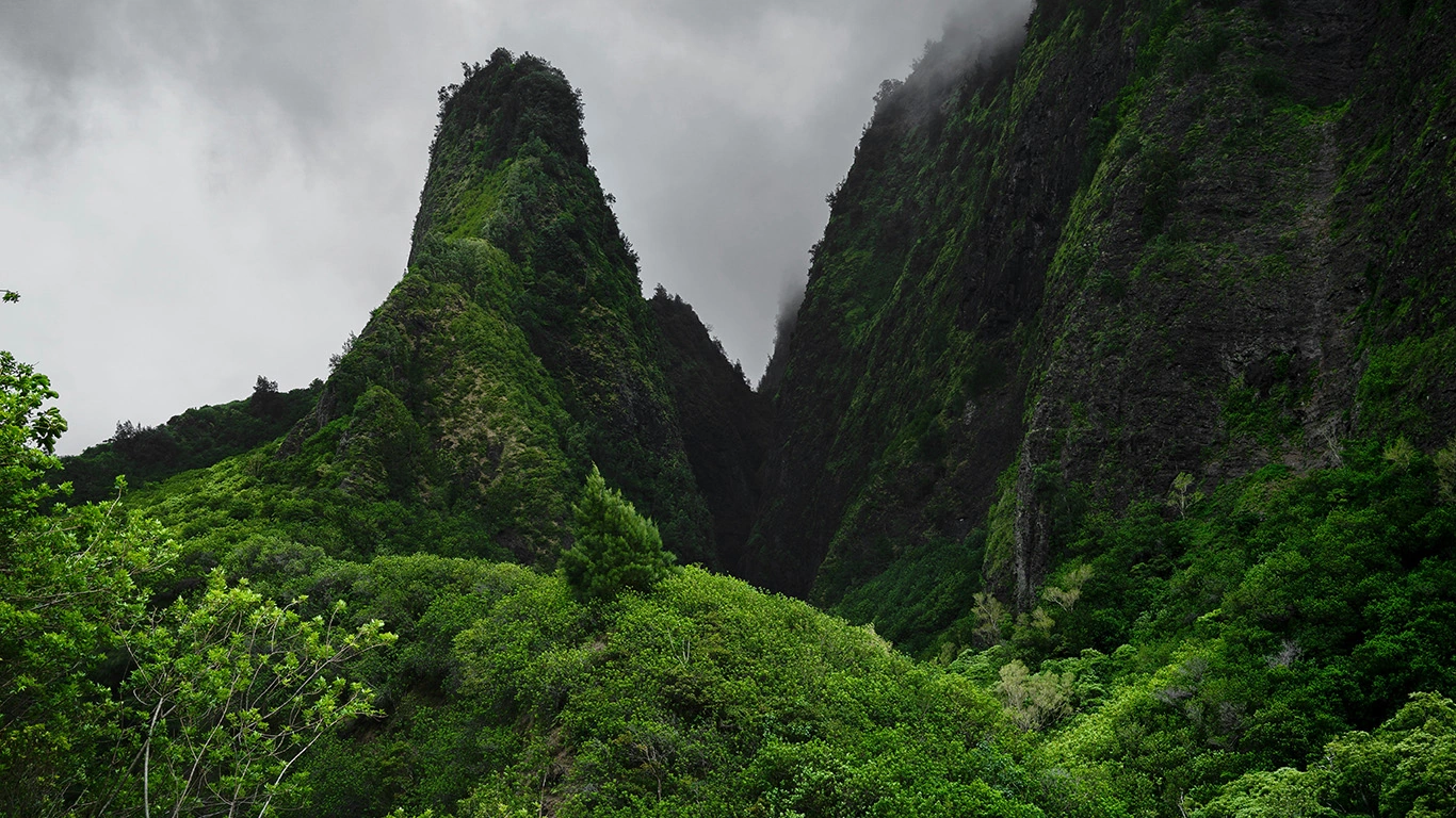 Aloha Hawaii Discovering Kauai and Maui