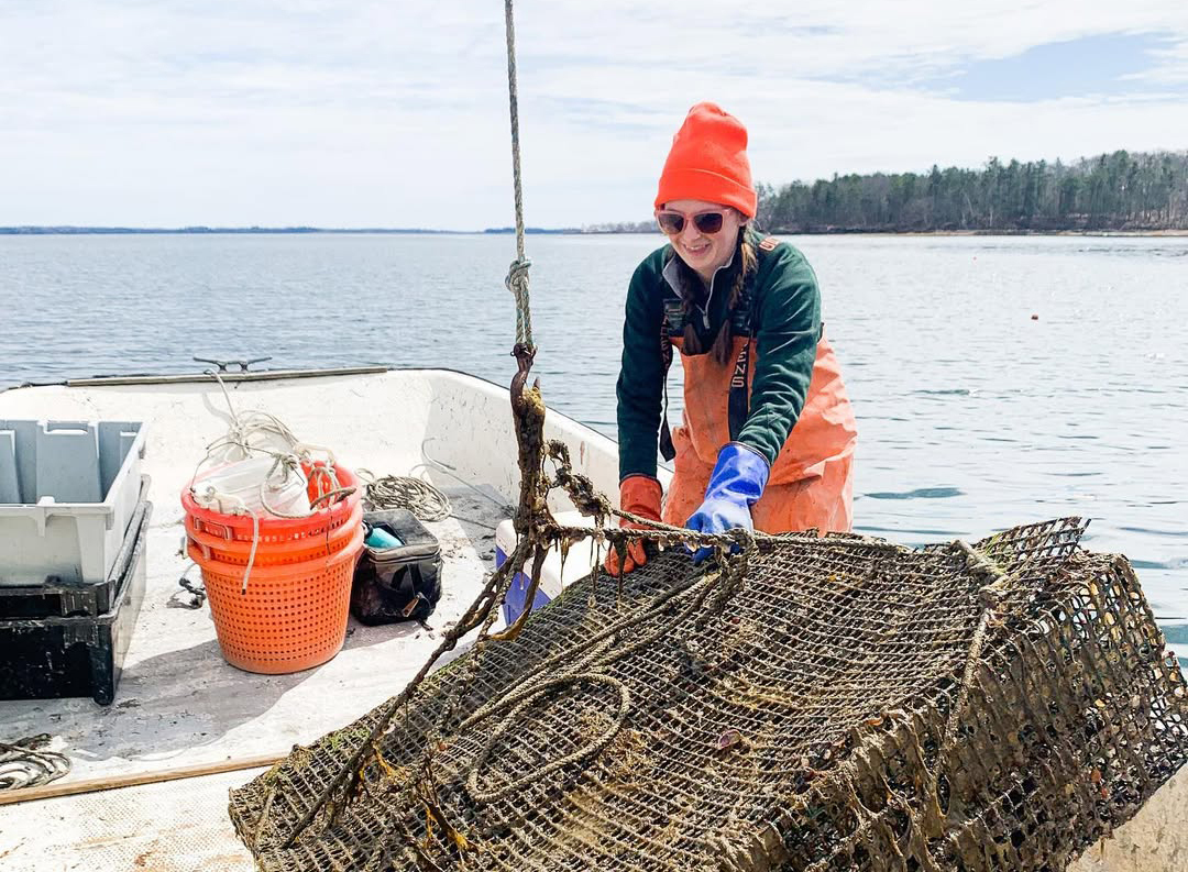 Roaming Coastal Maine featuring Portland, Acadia & Penobscot Bay