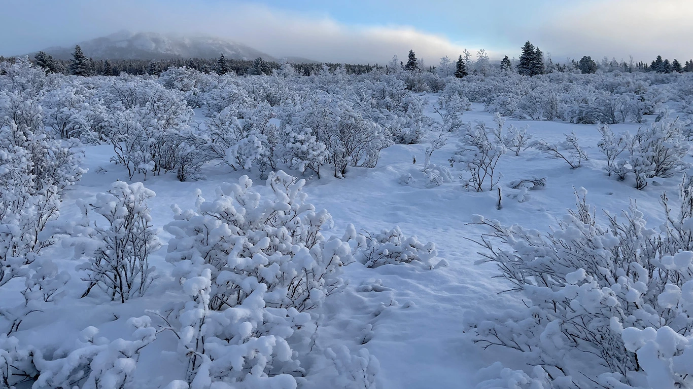 Aurora Adventure Winter in the Canadian Rockies & the Yukon