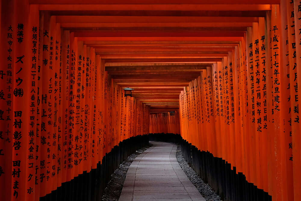 Journey Through the Heart of Japan Tokyo to Osaka