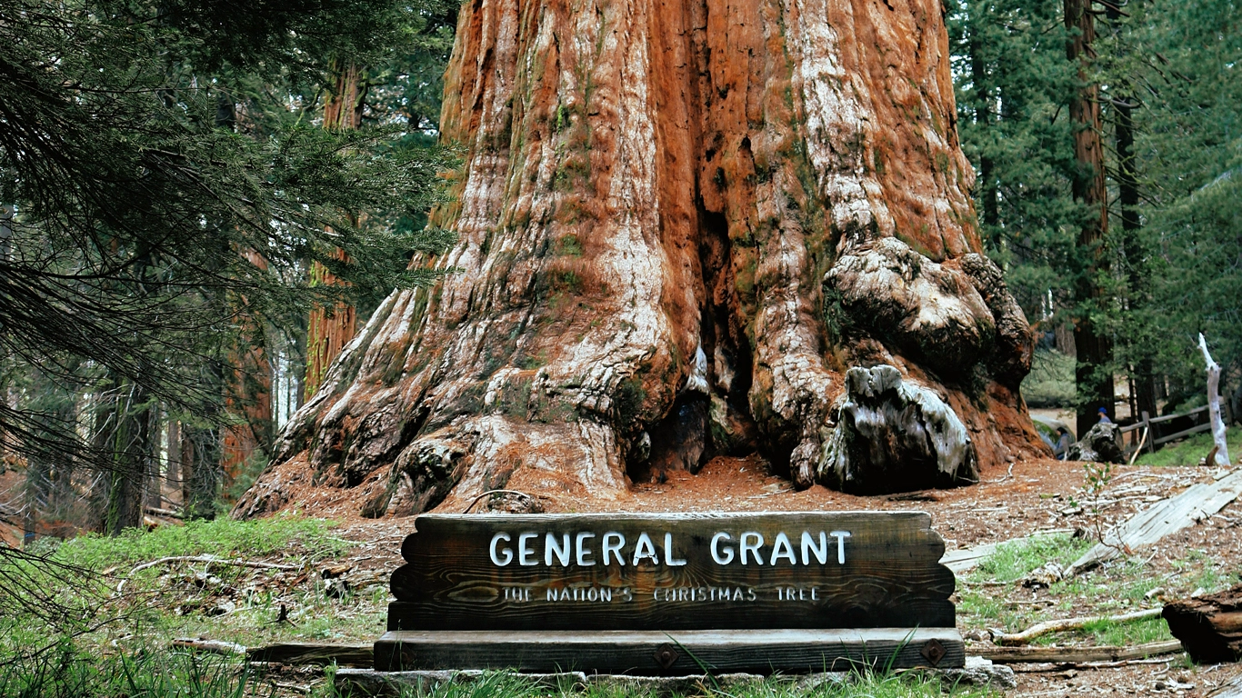 Coastal California & Sequoia National Park featuring San Diego, Los Angeles & Pismo Beach