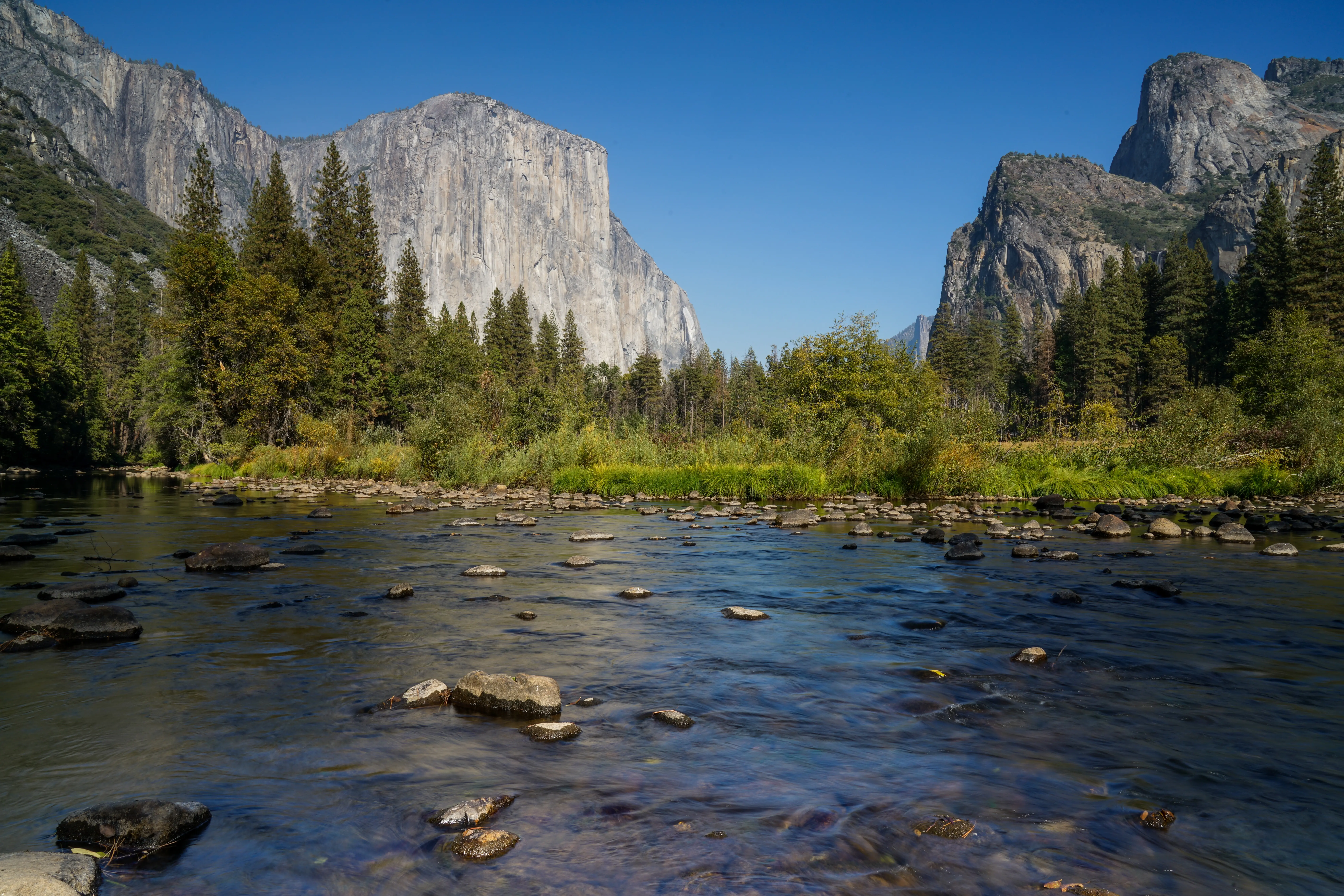 California Dreamin': Monterey, Yosemite and Napa