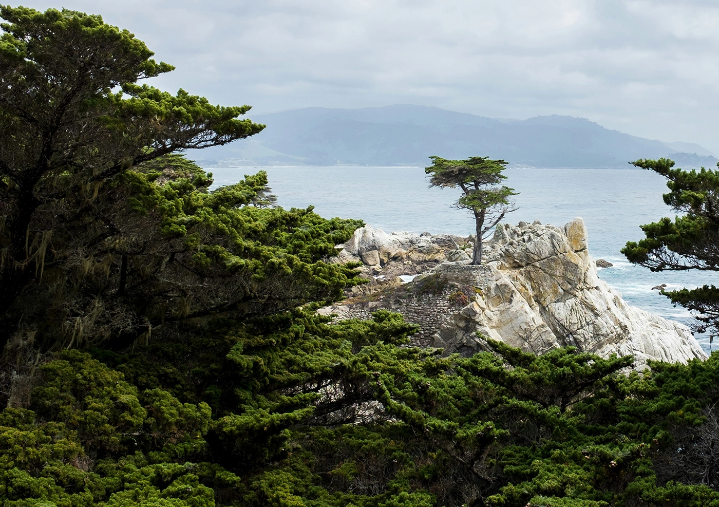 California Dreamin': Monterey, Yosemite and Napa