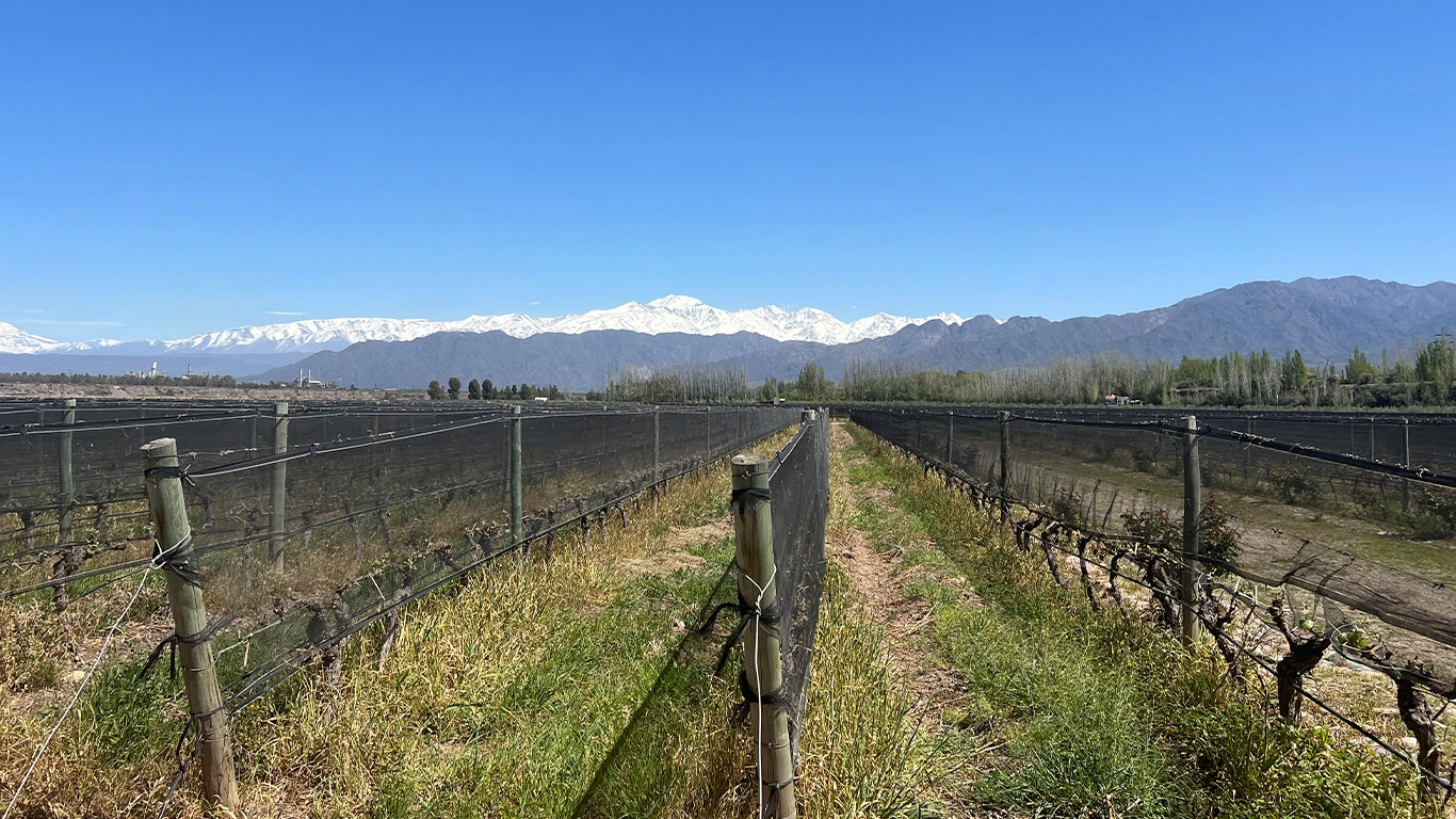 Flavors of Chile & Argentina featuring the Mendoza Wine Region