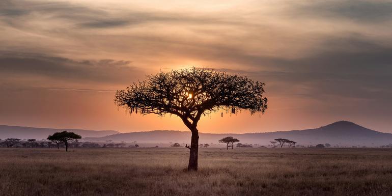 Signature: Tanzania’s Serengeti, Tarangire & Ngorongoro Crater