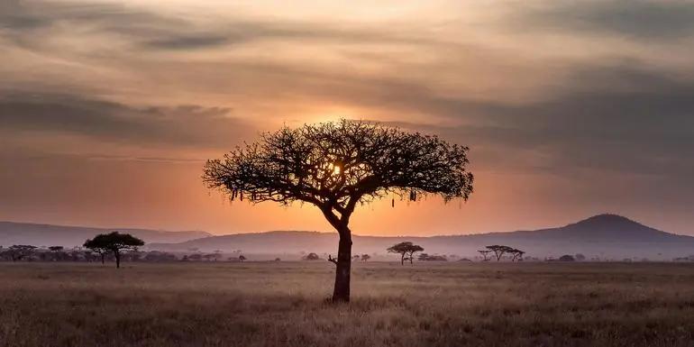 Signature: Tanzania’s Serengeti, Tarangire & Ngorongoro Crater