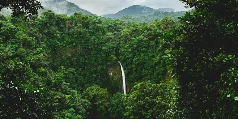 Signature: Costa Rica's Monteverde, Arenal & Guanacaste