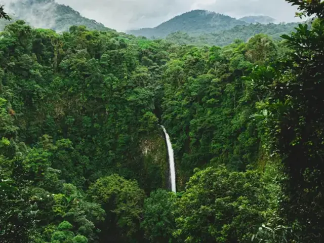 Signature: Costa Rica's Monteverde, Arenal & Guanacaste