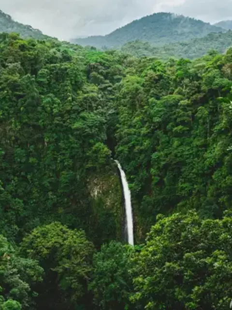 Signature: Costa Rica's Monteverde, Arenal & Guanacaste
