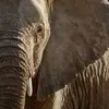 Signature: South Africa from Cape Town to Kruger