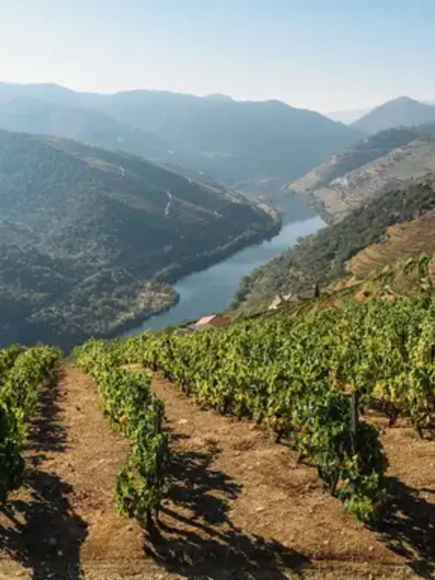 Signature: Portugal's Porto, Douro Valley, & Lisbon