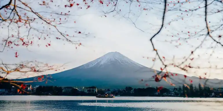 Signature: Japan's Tokyo, Kyoto & Osaka