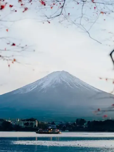 Signature: Japan's Tokyo, Kyoto & Osaka