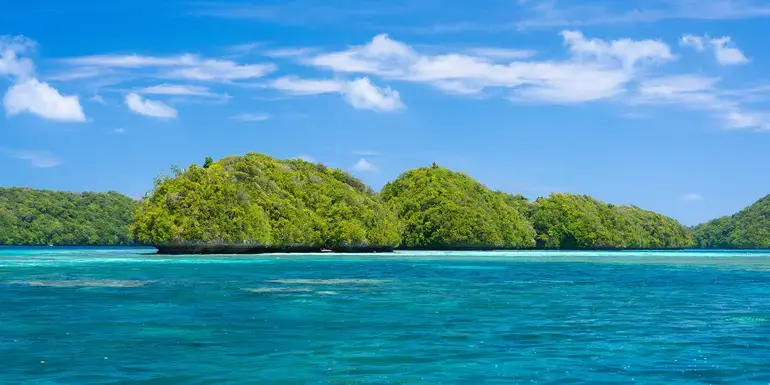 Signature: Palau’s Rock Islands & Underwater Serengeti
