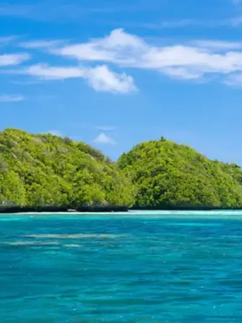 Signature: Palau’s Rock Islands & Underwater Serengeti