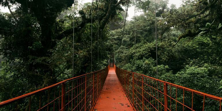 Signature: Costa Rica's Tortuguero, Arenal & Cloud Forests