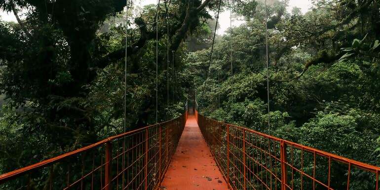 Signature: Costa Rica's Tortuguero, Arenal & Cloud Forests