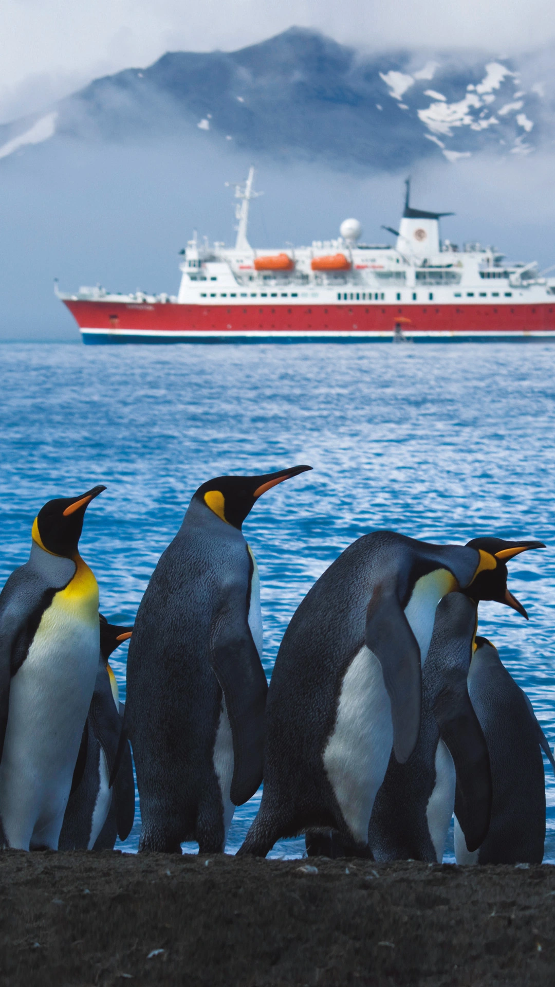 Quest for the Antarctic Circle