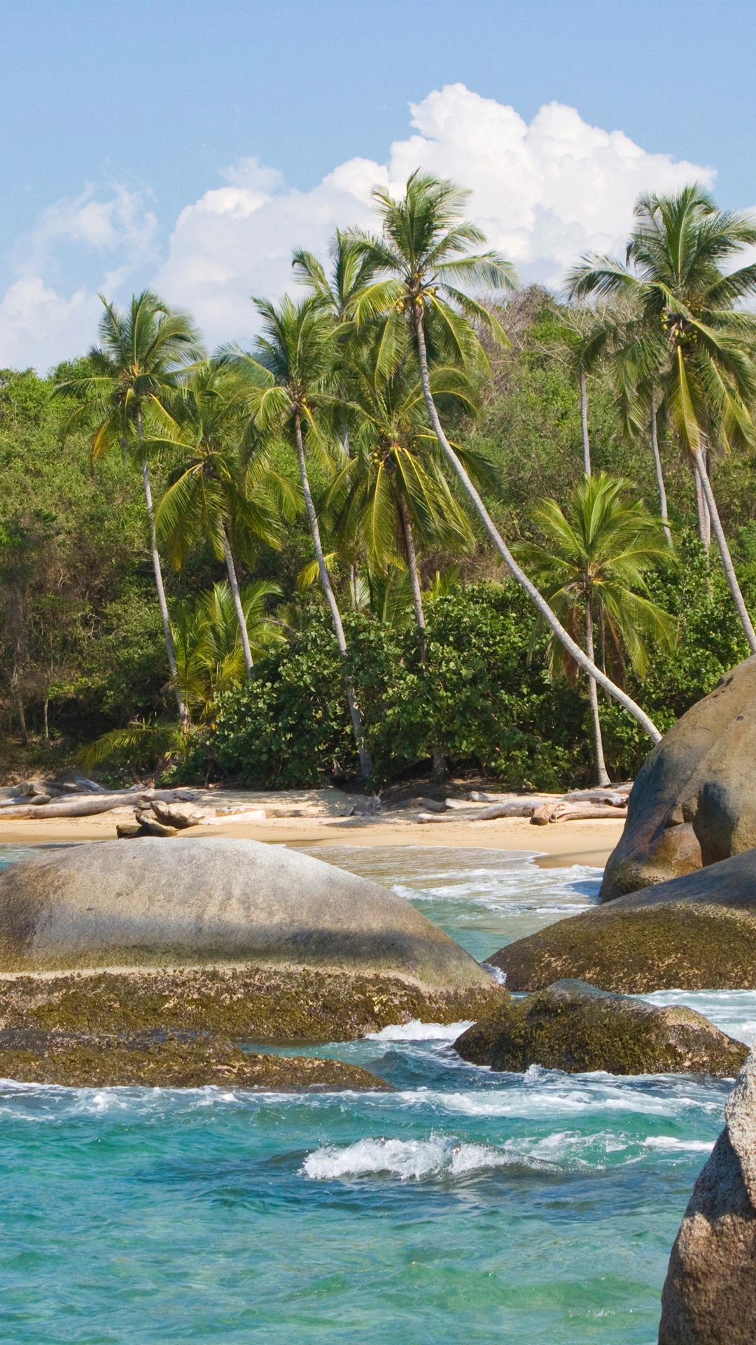 Caribbean Colombia Express