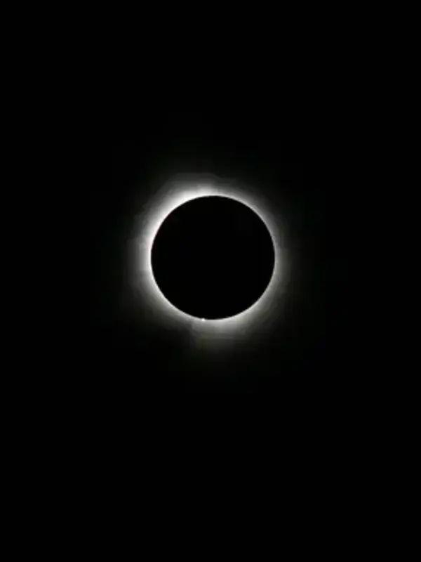 Arctic Highlights: Solar Eclipse Edition