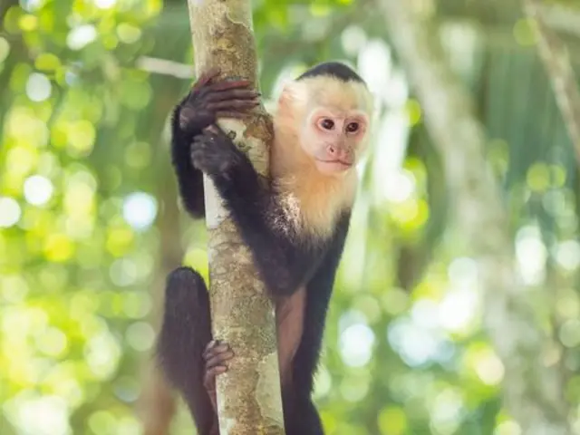 Costa Rica Family Experience