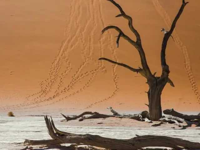 Dunes, Deltas & Falls Discoverer