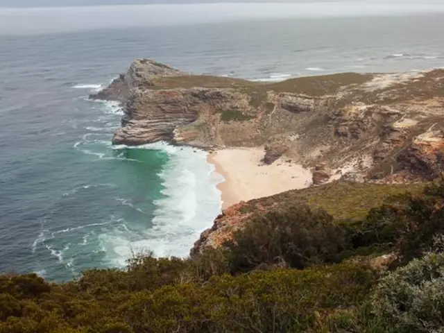 Cape & Dunes Discoverer