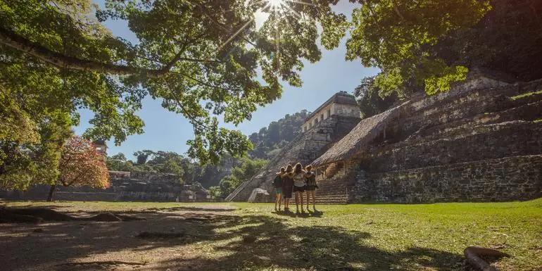 Mayan Discovery