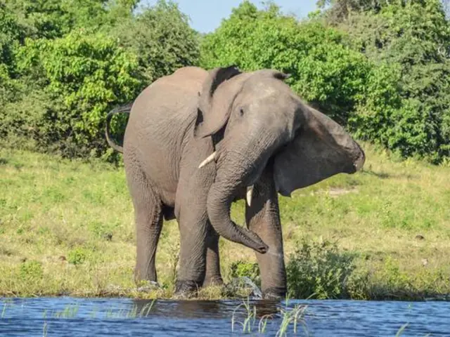 Botswana & Victoria Falls Adventure