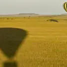2cc1c7d460d30b28520e43eaf9bb0883.jpg