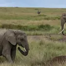 9b5294ae7829d7aa331a20d4928c0fe0.jpg