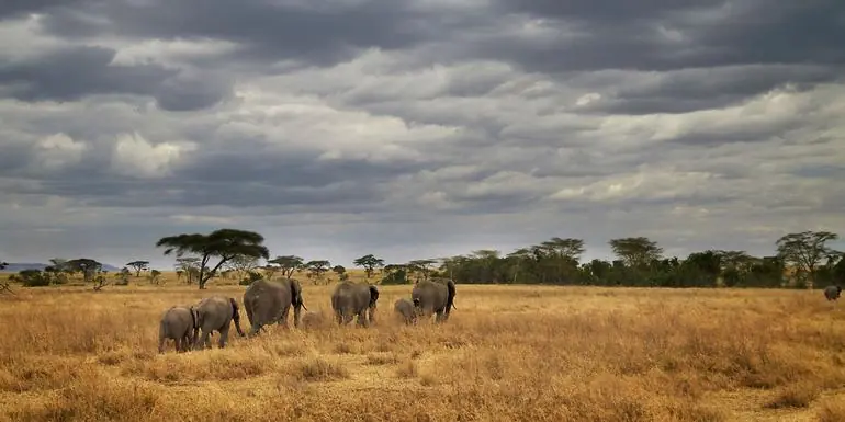 Masai & Tanzania Camping Safari