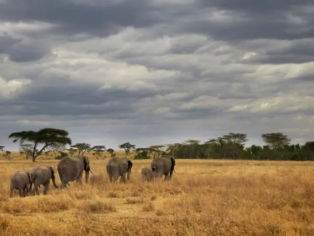 Masai & Tanzania Camping Safari