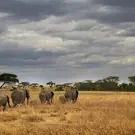 a6b4c687d0d78df49c07ef7ae1025f60.jpg