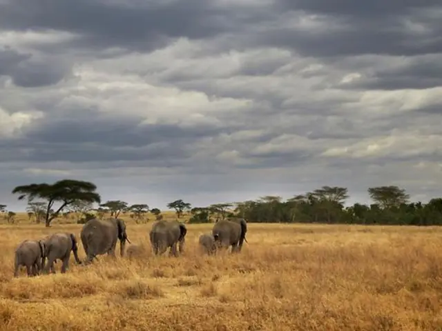 Masai & Tanzania Camping Safari